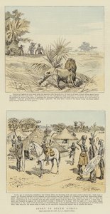 Sport in Zuid-Afrika